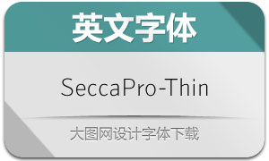 SeccaPro-Thin(Ӣ)