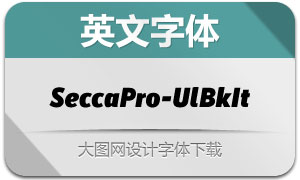 SeccaPro-UltraBlackItalic()