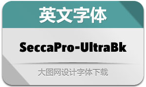 SeccaPro-UltraBlack(Ӣ)