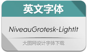 NiveauGrotesk-LightIt(Ӣ)