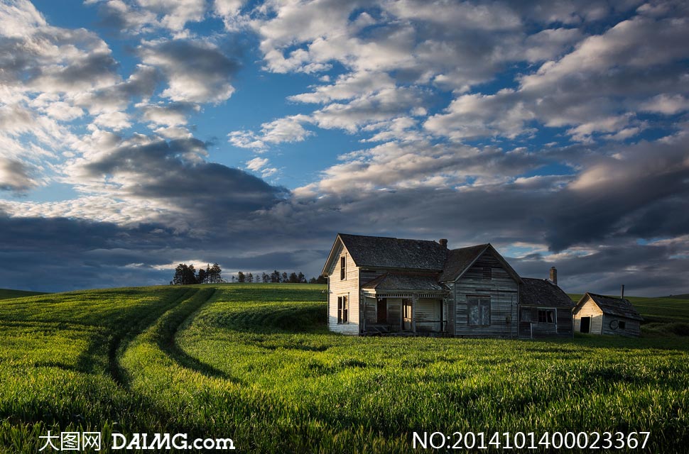 蓝天白云下的草地和房屋摄影图片