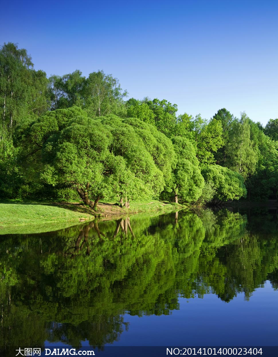 蓝天下的树木和倒影摄影图片素材下载 关键词: 蓝天天空绿树树木
