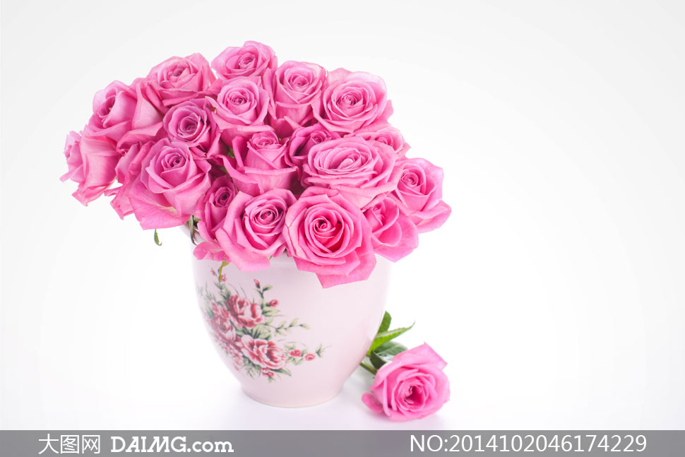 插在花瓶里的玫瑰花朵摄影高清图片