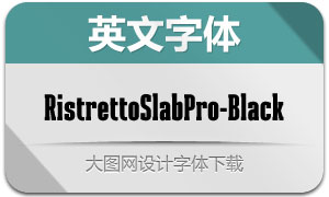 RistrettoSlabPro-Black()