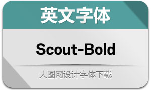 Scout-Bold(Ӣ)