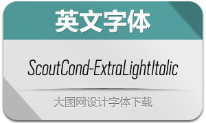 ScoutCond-ExtraLightIt()