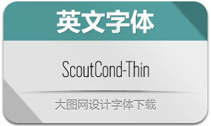 ScoutCond-Thin(Ӣ)