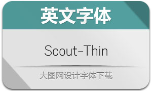 Scout-Thin(Ӣ)