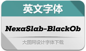 NexaSlab-BlackObli(Ӣ)