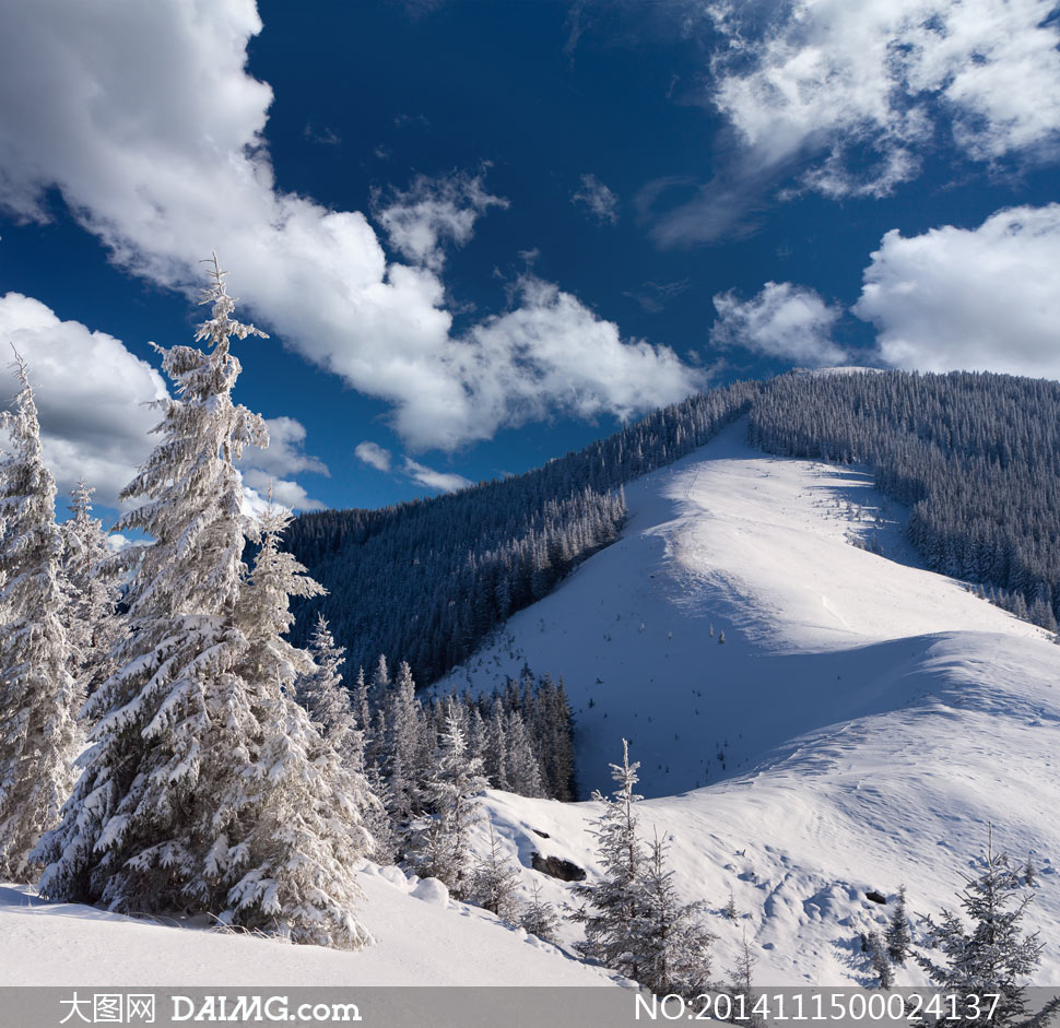 冬季山顶美丽的雪景风光摄影图片