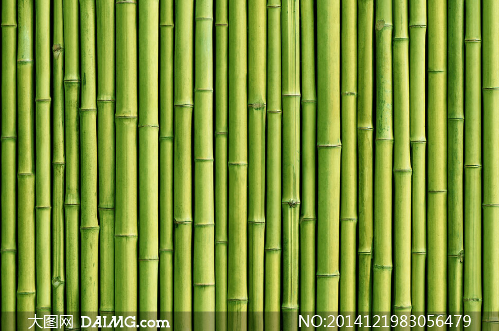 横向排列的翠绿色竹子摄影高清图片
