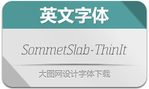 SommetSlab-ThinIt(Ӣ)
