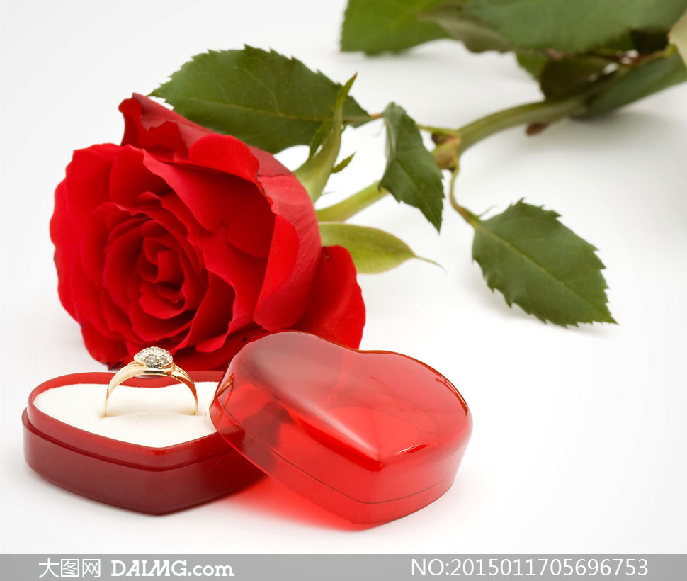 红色玫瑰花与结婚戒指摄影高清图片 - 大图网设