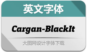 Cargan-BlackIt(Ӣ)