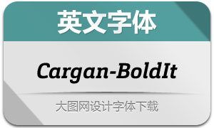Cargan-BoldIt(Ӣ)