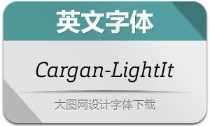 Cargan-LightIt(Ӣ)