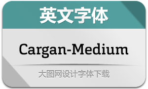 Cargan-Medium(Ӣ)