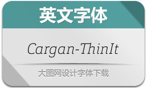 Cargan-ThinIt(Ӣ)