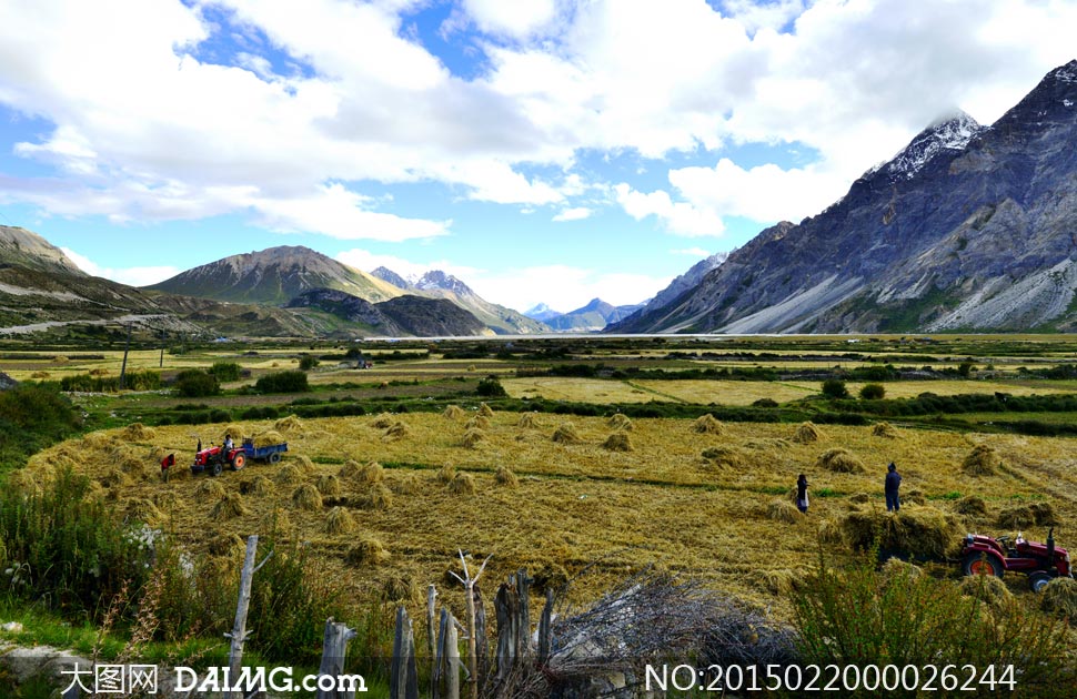 西藏高原农田美景摄影图片