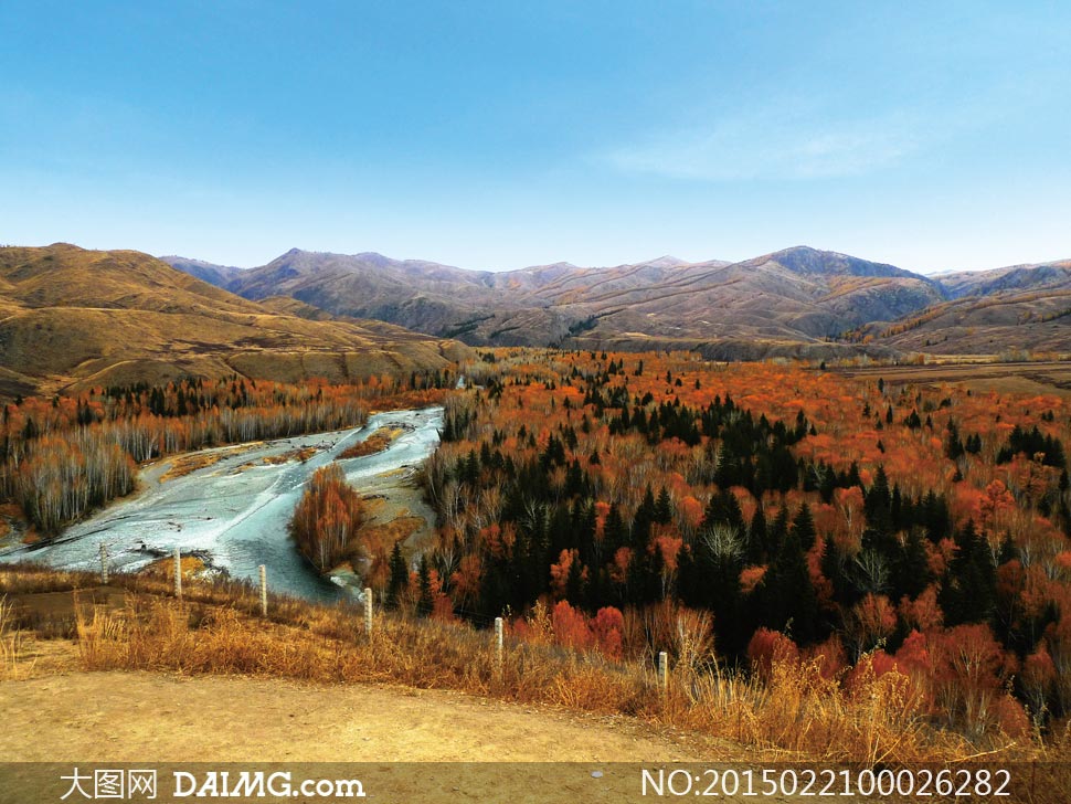 新疆喀纳斯美丽风光摄影图片 - 大图网设计素材