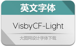 VisbyCF-Light(Ӣ)