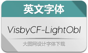 VisbyCF-LightOblique(Ӣ)