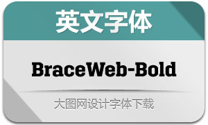 BraceWeb-Bold(Ӣ)