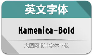 Kamenica-Bold(Ӣ)