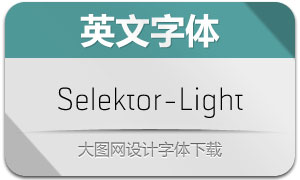 Selektor-Light(Ӣ)