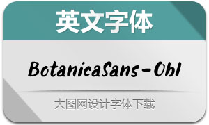 BotanicaSans-Oblique(Ӣ)