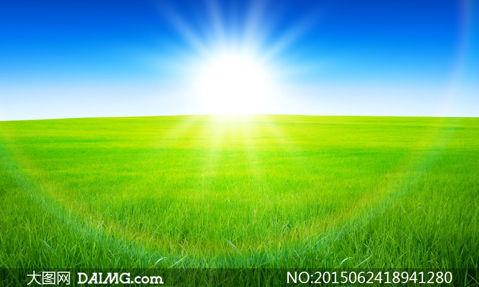蓝天草地与耀眼的阳光摄影高清图片