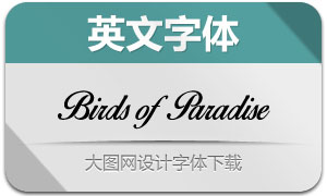 Birds of Paradise(Ӣ)