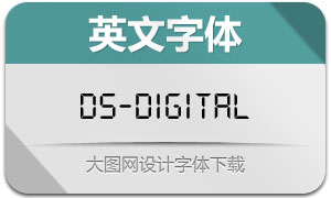 DS-Digital(Ӣ)