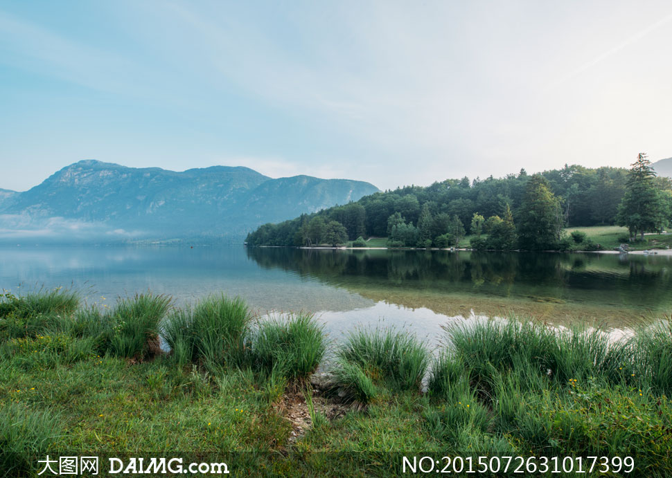 青山湖水树木草丛风景摄影高清图片