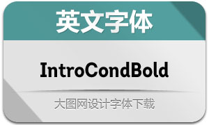 IntroCondBold(Ӣ)