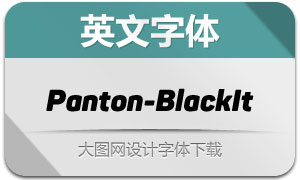 Panton-BlackItalic(Ӣ)