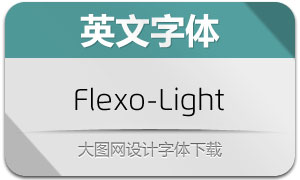 Flexo-Light(Ӣ)