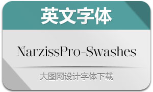 NarzissPro-Swashes(Ӣ)