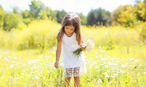 俯身弯腰采摘鲜花的小女孩高清图片