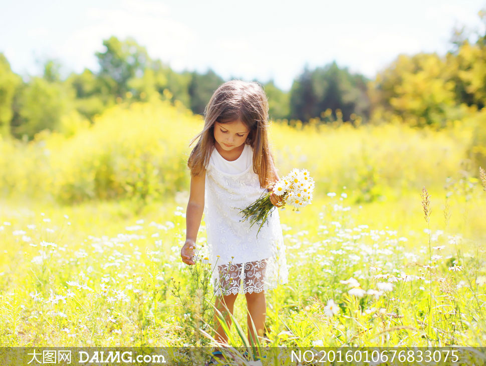 俯身弯腰采摘鲜花的小女孩高清图片 - 大图网设