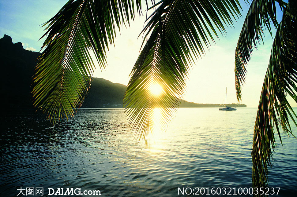 夏季海边日落美景摄影图片_大图网图片素材