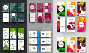 禮品卡與炫彩版式設(shè)計創(chuàng)意矢量素材