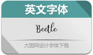 Beetle(Ӣ)