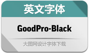 GoodPro-Black(Ӣ)