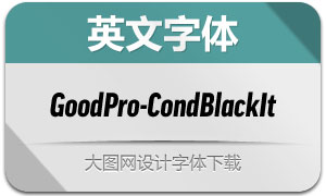 GoodPro-CondBlackIt(Ӣ)