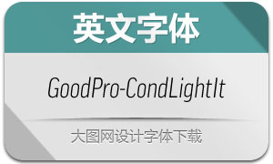 GoodPro-CondLightIt(Ӣ)