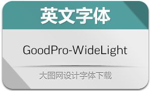 GoodPro-WideLight(Ӣ)