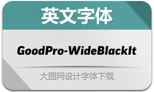 GoodPro-WideBlackIt(Ӣ)