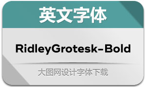 RidleyGrotesk-Bold(Ӣ)
