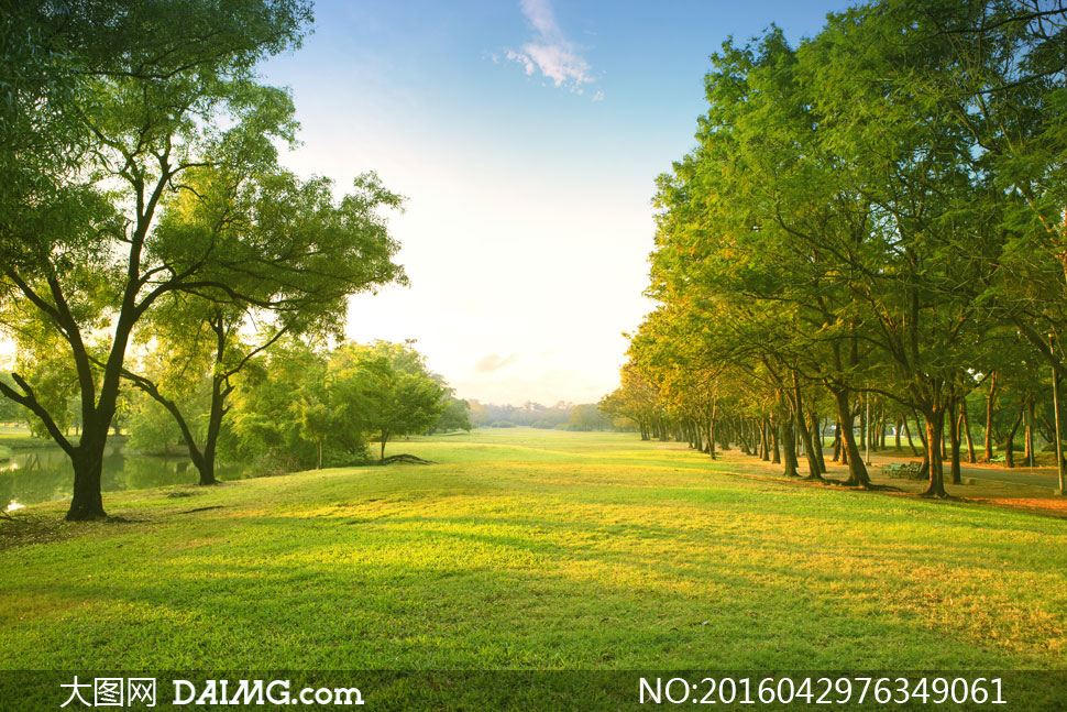 蓝天树木草地自然风光摄影高清图片